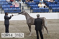 10r14_3162 thumbnail