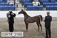 10r14_3168 thumbnail