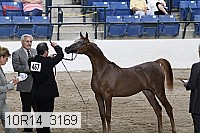 10r14_3169 thumbnail