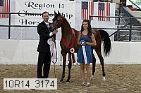 10r14_3174 thumbnail