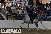 10r14_3240 thumbnail