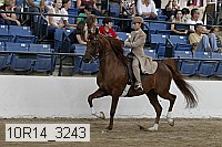 10r14_3243 thumbnail