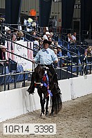 10r14_3398 thumbnail