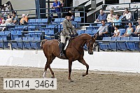 10r14_3464 thumbnail