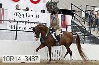 10r14_3487 thumbnail