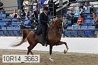 10r14_3663 thumbnail