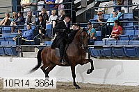 10r14_3664 thumbnail
