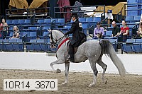 10r14_3670 thumbnail