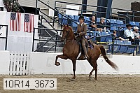 10r14_3673 thumbnail