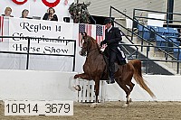 10r14_3679 thumbnail