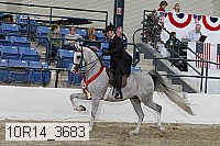 10r14_3683 thumbnail