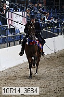 10r14_3684 thumbnail