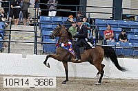 10r14_3686 thumbnail