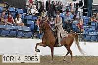 10r14_3966 thumbnail