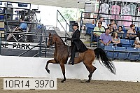 10r14_3970 thumbnail