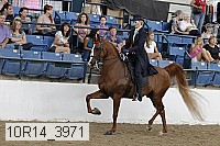 10r14_3971 thumbnail