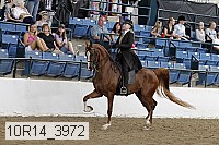 10r14_3972 thumbnail