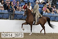 10r14_3973 thumbnail