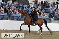 10r14_3974 thumbnail