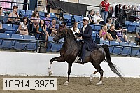 10r14_3975 thumbnail