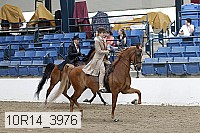 10r14_3976 thumbnail