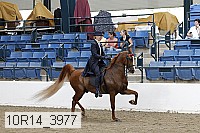 10r14_3977 thumbnail