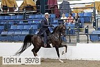 10r14_3978 thumbnail