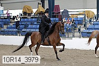 10r14_3979 thumbnail