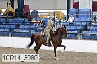 10r14_3980 thumbnail