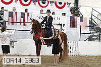10r14_3983 thumbnail
