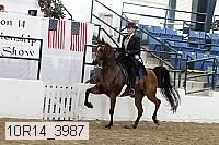 10r14_3987 thumbnail