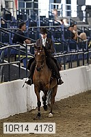 10r14_4178 thumbnail