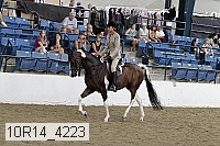 10r14_4223 thumbnail