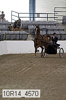 10r14_4570 thumbnail