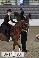 10r14_4984 thumbnail