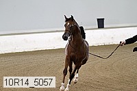 10r14_5057 thumbnail