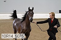 10r14_5075 thumbnail
