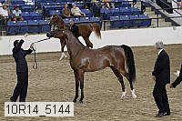 10r14_5144 thumbnail