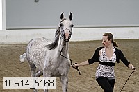 10r14_5168 thumbnail