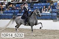 10r14_5232 thumbnail