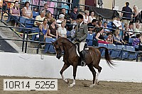 10r14_5255 thumbnail