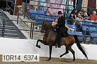 10r14_5374 thumbnail