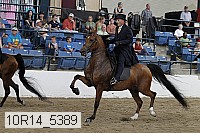 10r14_5389 thumbnail