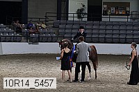 10r14_5457 thumbnail