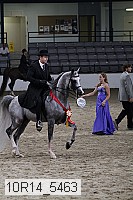 10r14_5463 thumbnail