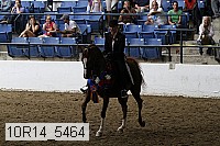 10r14_5464 thumbnail