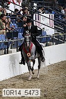 10r14_5473 thumbnail