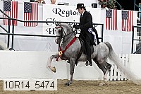 10r14_5474 thumbnail