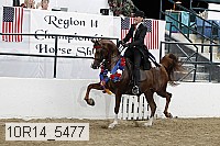 10r14_5477 thumbnail