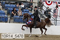 10r14_5478 thumbnail